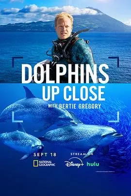 《摄影师贝尔蒂与海豚零距离》：海洋之恋，人与自然的和谐共生