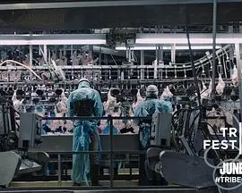 《毒从口入：食物的丑陋真相》揭秘餐桌下的秘密，一场关乎健康的深度拷问