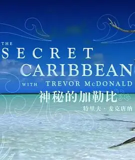 寻宝冒险，爆笑启航！《神秘的加勒比》带你体验海上奇遇，亲子同乐的欢乐时光