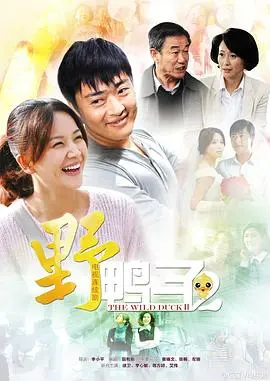 《野鸭子2》：家族恩怨与时代变迁下的情感纠葛，致敬经典却难越前作